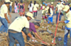 32nd week - Swachh Mangaluru Abhiyan at Light House Hill Road